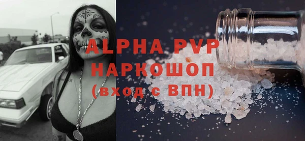 ГАЛЛЮЦИНОГЕННЫЕ ГРИБЫ Новозыбков