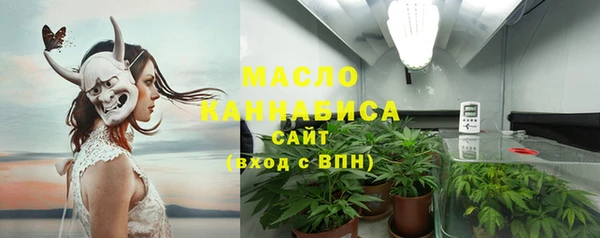 шишки Новодвинск