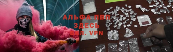 ГАЛЛЮЦИНОГЕННЫЕ ГРИБЫ Новозыбков