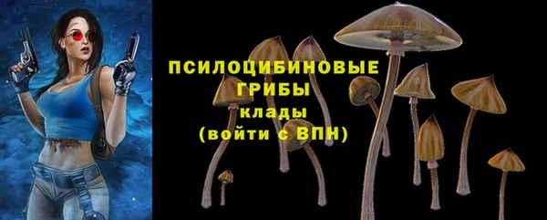 шишки Новодвинск
