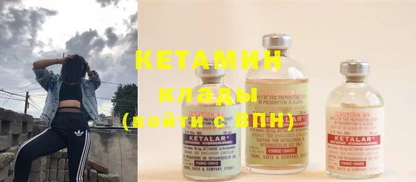 шишки Новодвинск