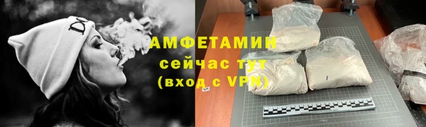 шишки Новодвинск