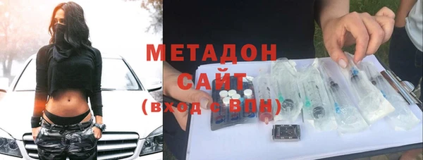 шишки Новодвинск