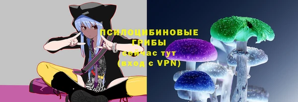 ГАЛЛЮЦИНОГЕННЫЕ ГРИБЫ Новозыбков