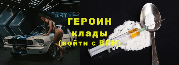 шишки Новодвинск