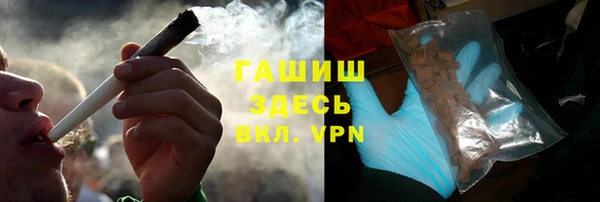 шишки Новодвинск