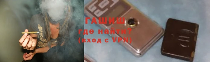 шишки Новодвинск