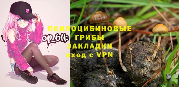 ГАЛЛЮЦИНОГЕННЫЕ ГРИБЫ Новозыбков