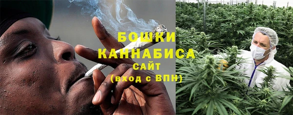 ГАЛЛЮЦИНОГЕННЫЕ ГРИБЫ Новозыбков