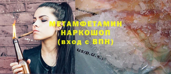 шишки Новодвинск
