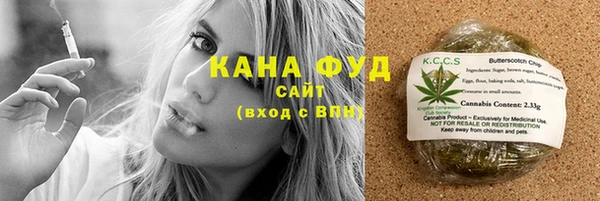 шишки Новодвинск