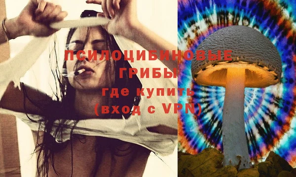 шишки Новодвинск